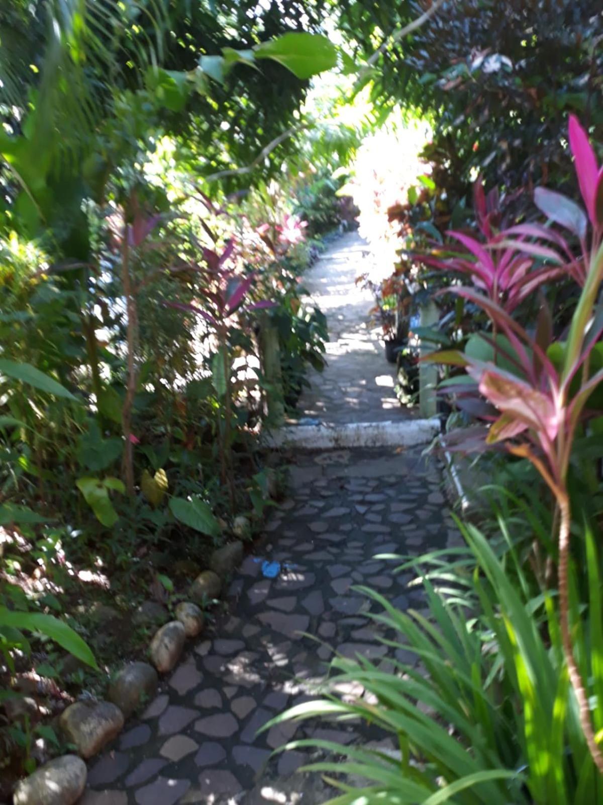 Hibiscus Valley Inn Marigot Exterior photo
