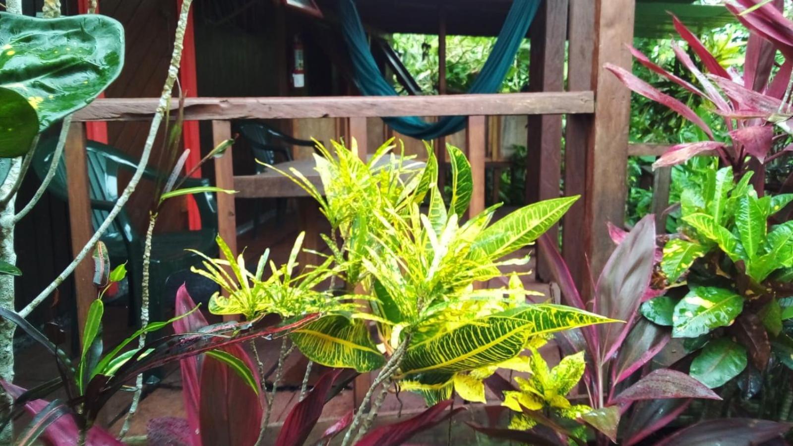 Hibiscus Valley Inn Marigot Exterior photo