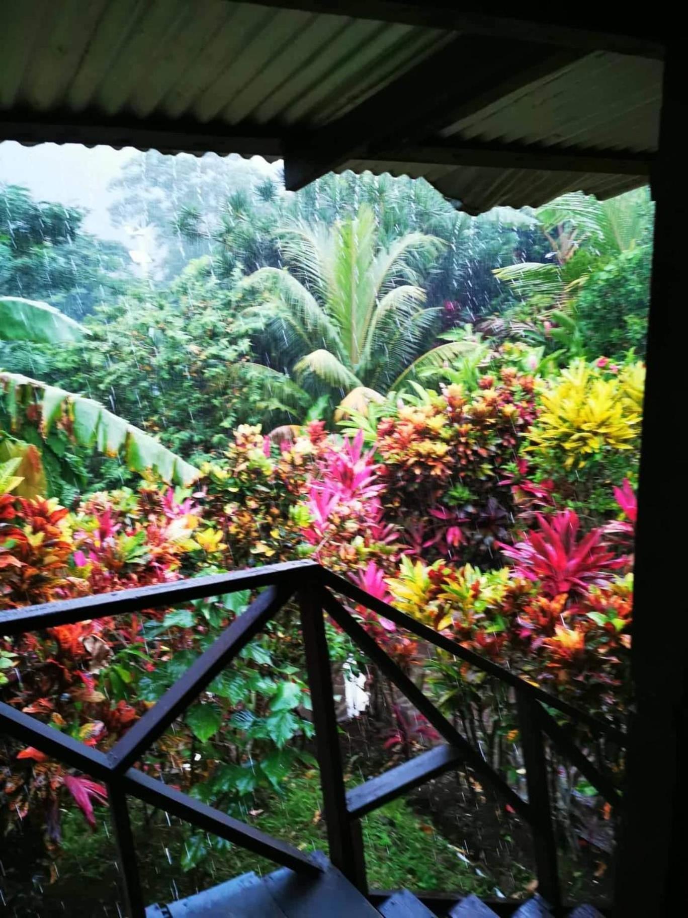Hibiscus Valley Inn Marigot Exterior photo