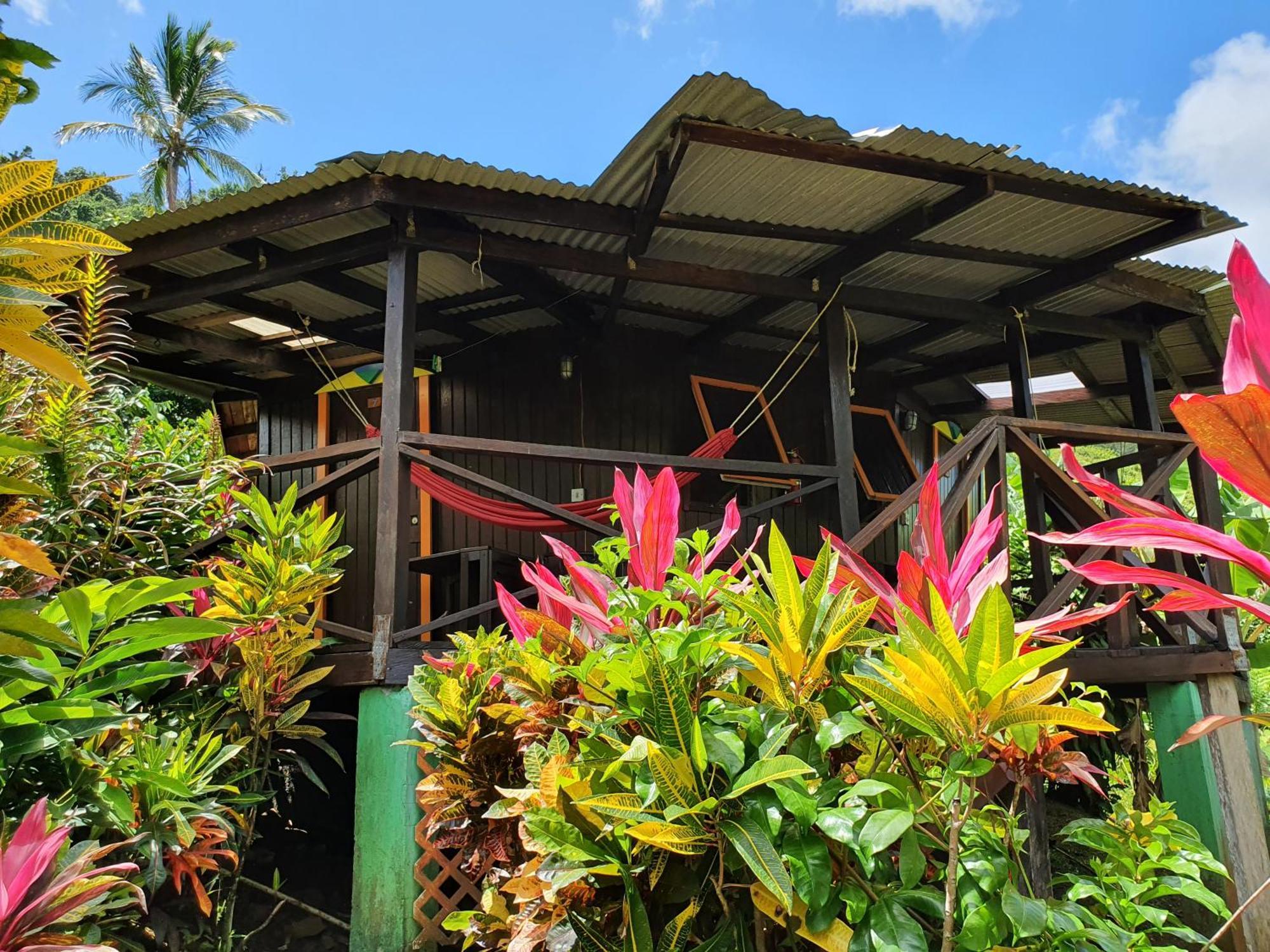 Hibiscus Valley Inn Marigot Exterior photo