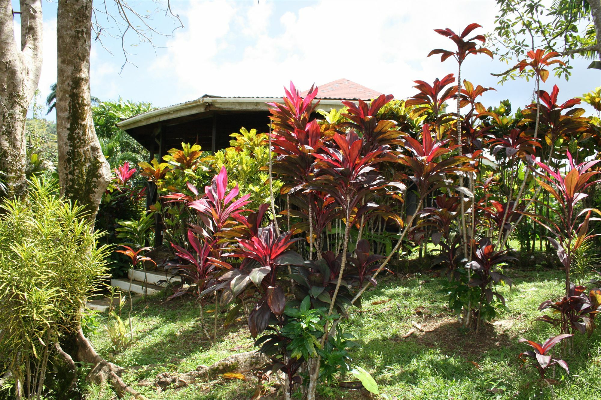 Hibiscus Valley Inn Marigot Exterior photo