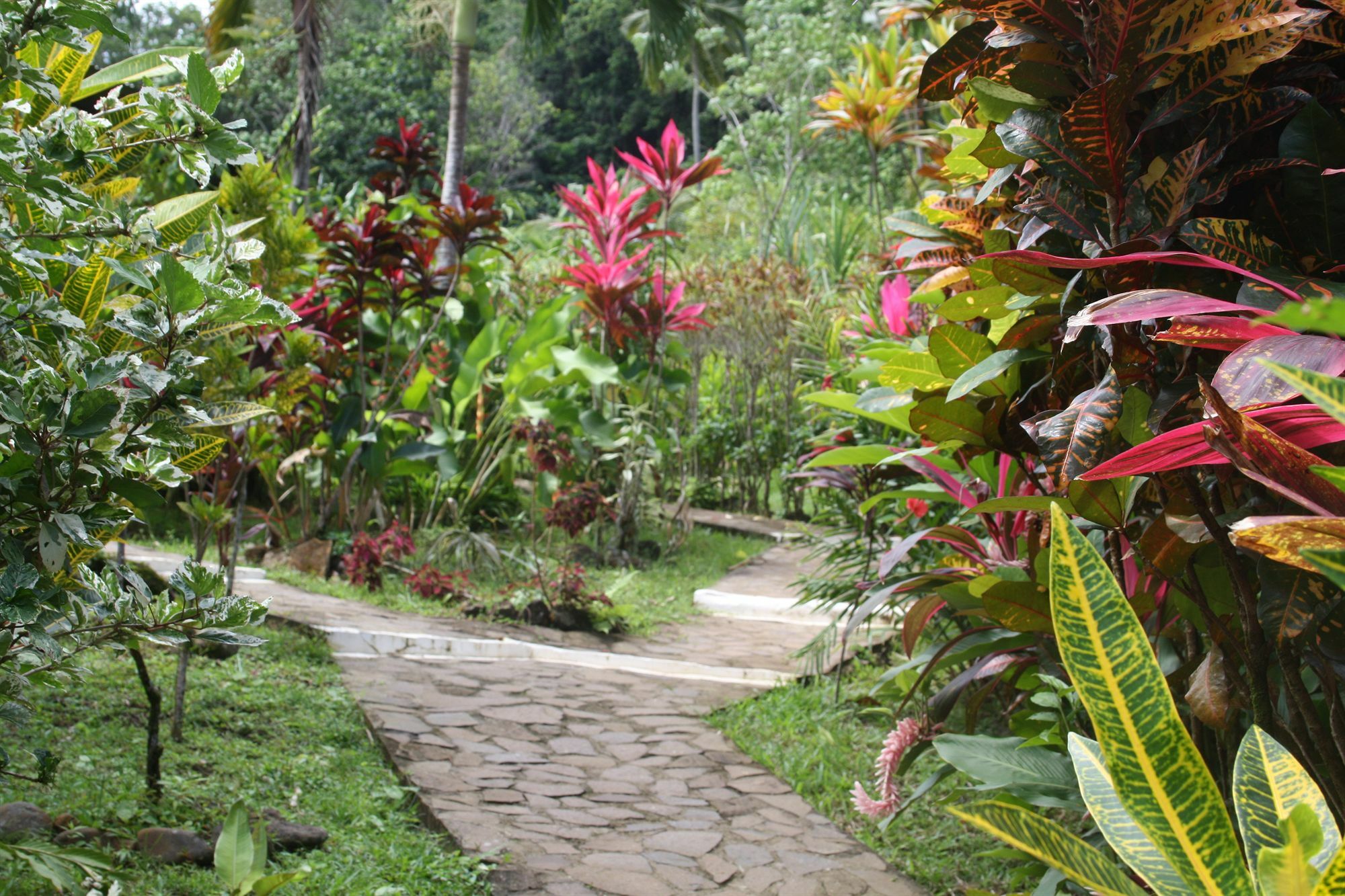 Hibiscus Valley Inn Marigot Exterior photo